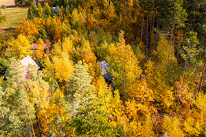 Soukromí v přírodě